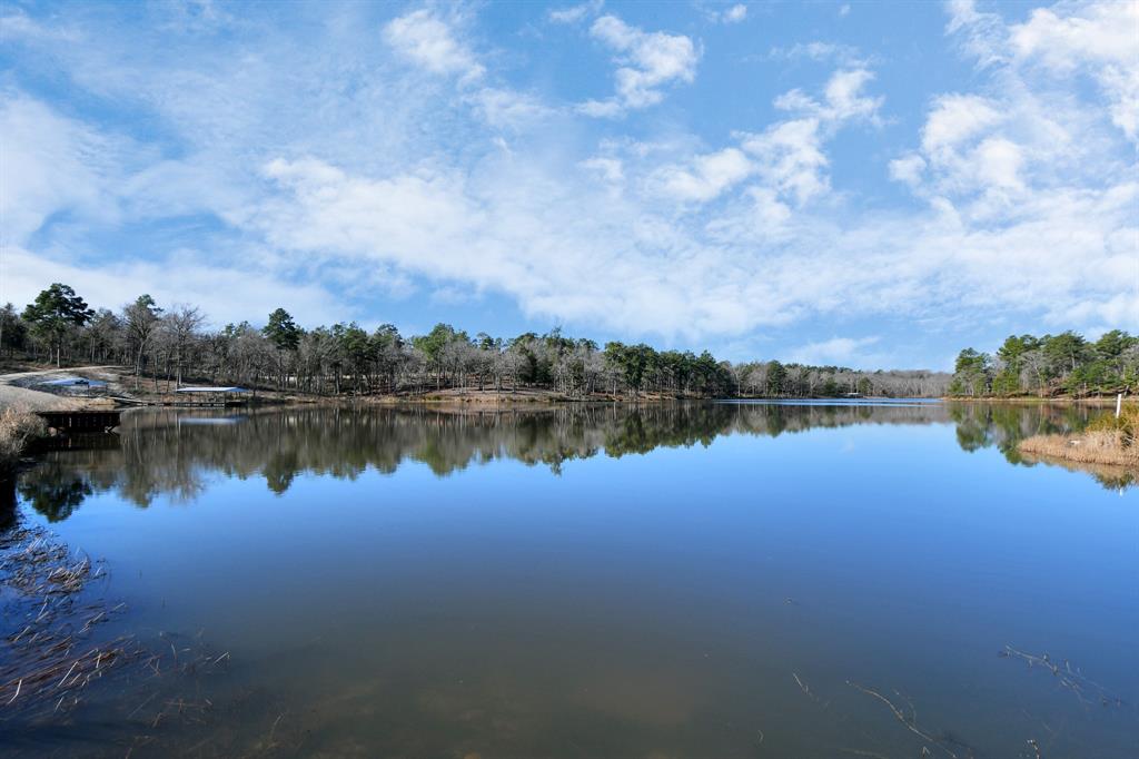 TR 35 Three Lakes Ranch  , Centerville, Texas image 46