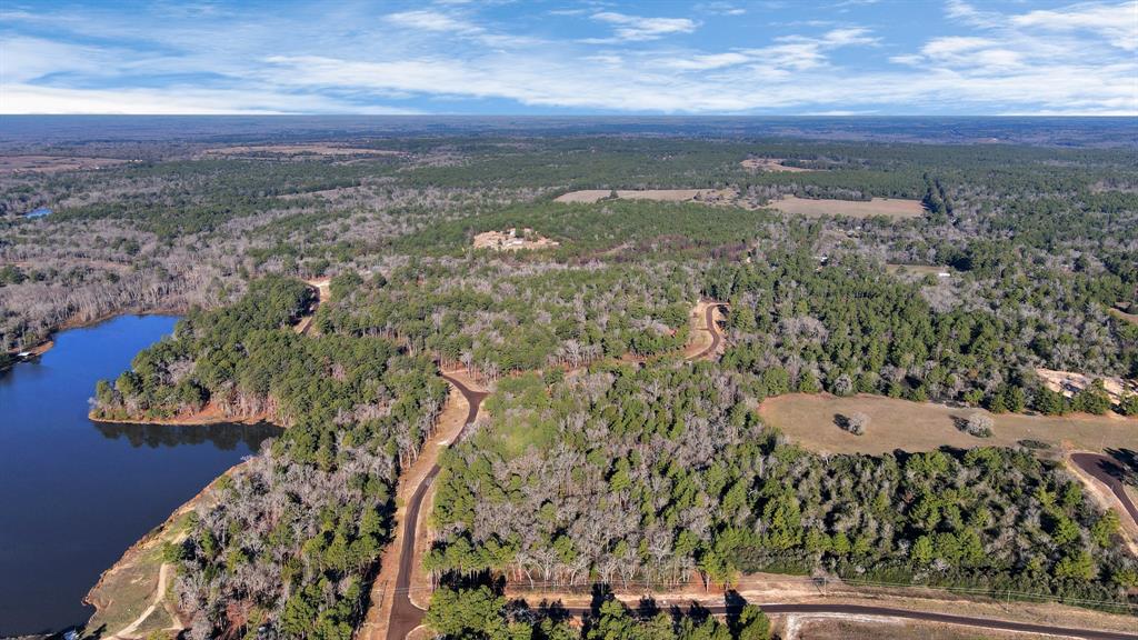 TR 35 Three Lakes Ranch  , Centerville, Texas image 9