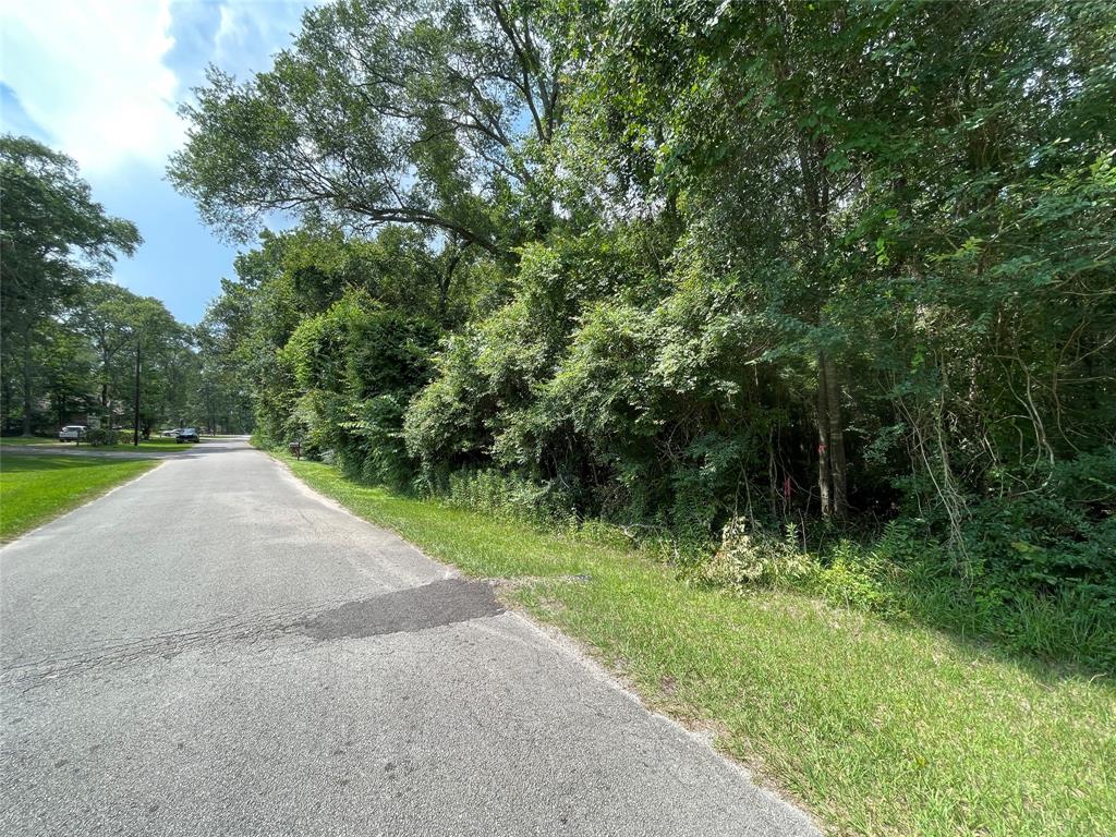 0  Maple Lane Woodbranch Texas 77357, 40