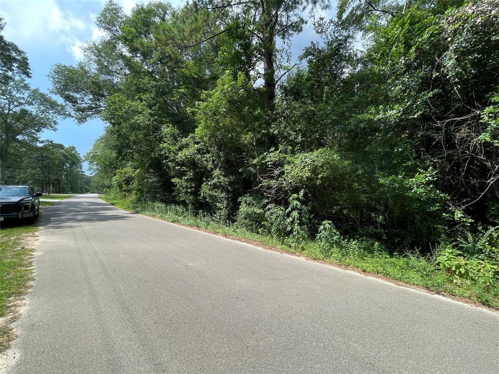 00  Maple Lane Woodbranch Texas 77357, 40