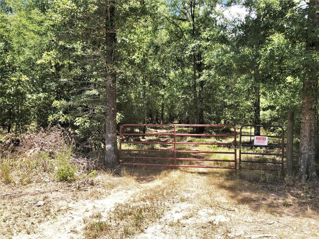 Lot 16  Somerset Trail  Point Blank Texas 77364, 64