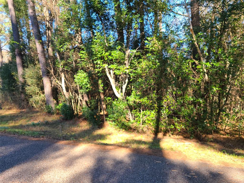 00 Rollingwood Loop, Conroe 00 Rollingwood Loop Conroe Texas 77303, 19