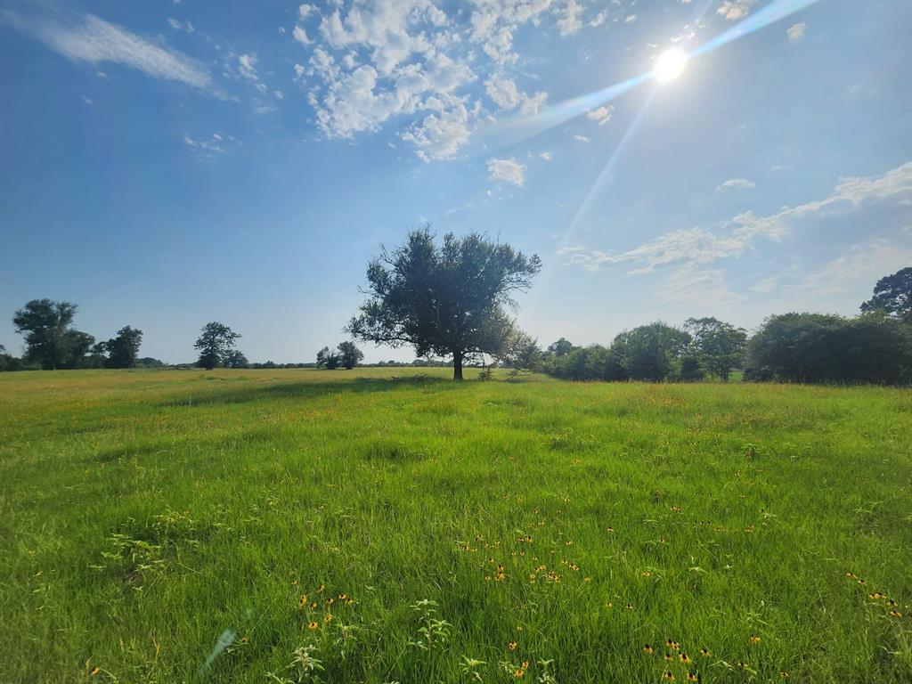 18836 Sweed Road , Washington, Texas image 11