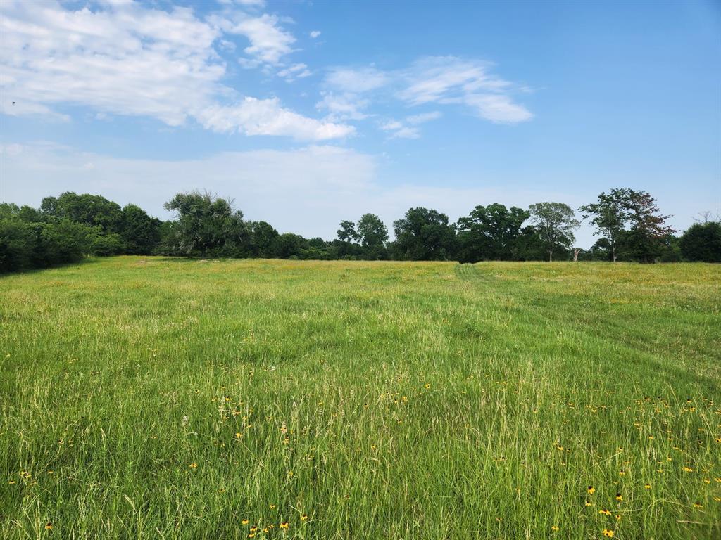 18836 Sweed Road , Washington, Texas image 13