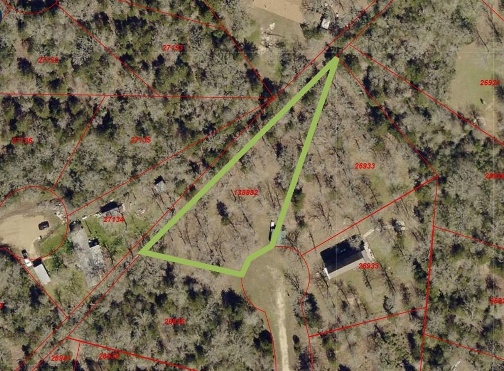 TBD  Bengals Bend Lot 313  Somerville Texas 77879, 59