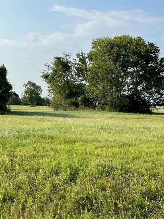 lot 161 Sandy Trail Angleton Texas 77515, Angleton lot 161 Sandy Trail Angleton Texas 77515, Angleton