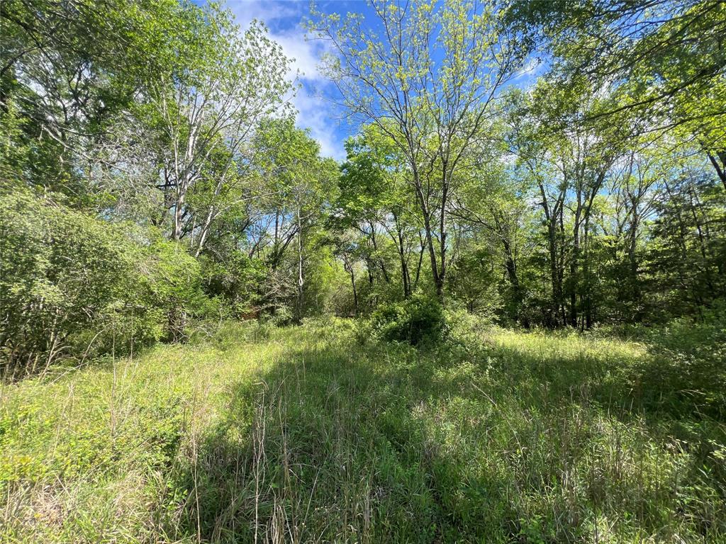 761 Meadow Bend Road , Bellville, Texas image 11