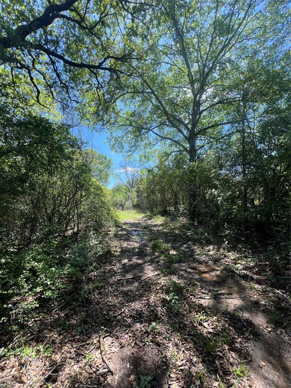 761 Meadow Bend Road , Bellville, Texas image 4