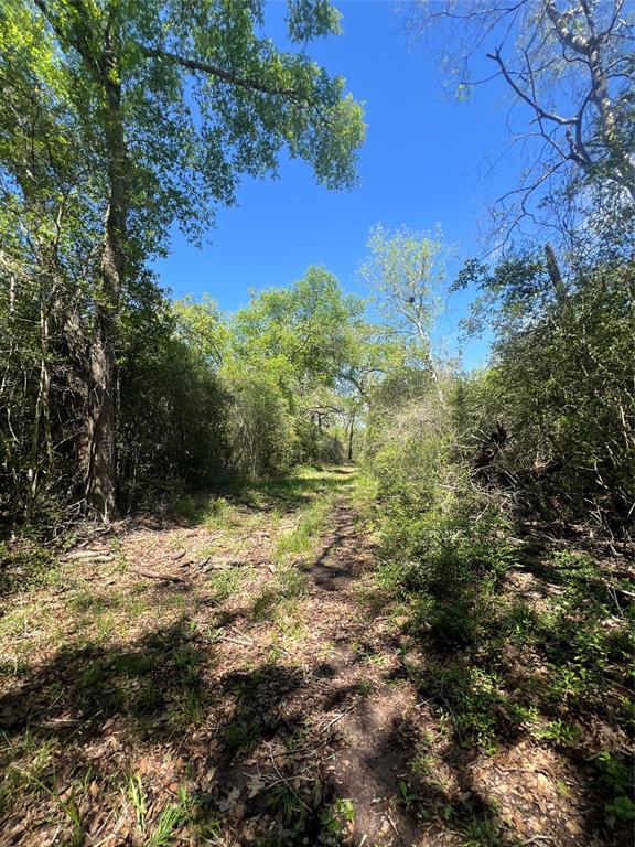 768 Meadow Bend Road , Bellville, Texas image 9