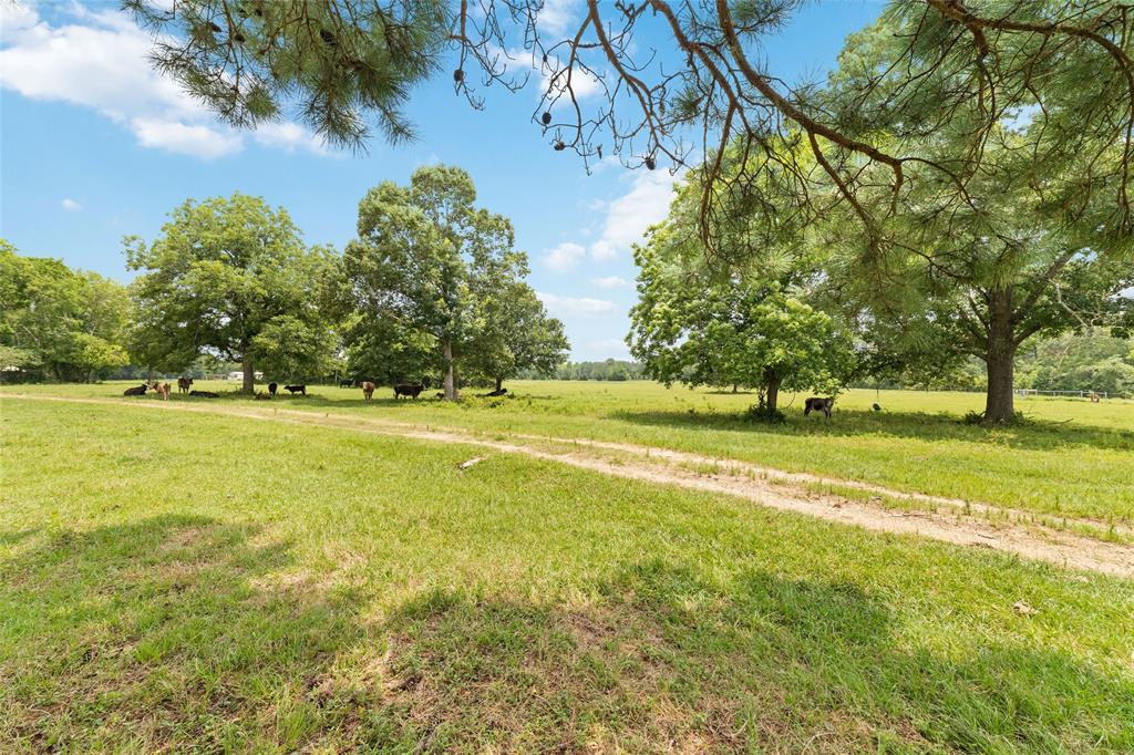 817 Jones Rd, New Waverly, TX 77358