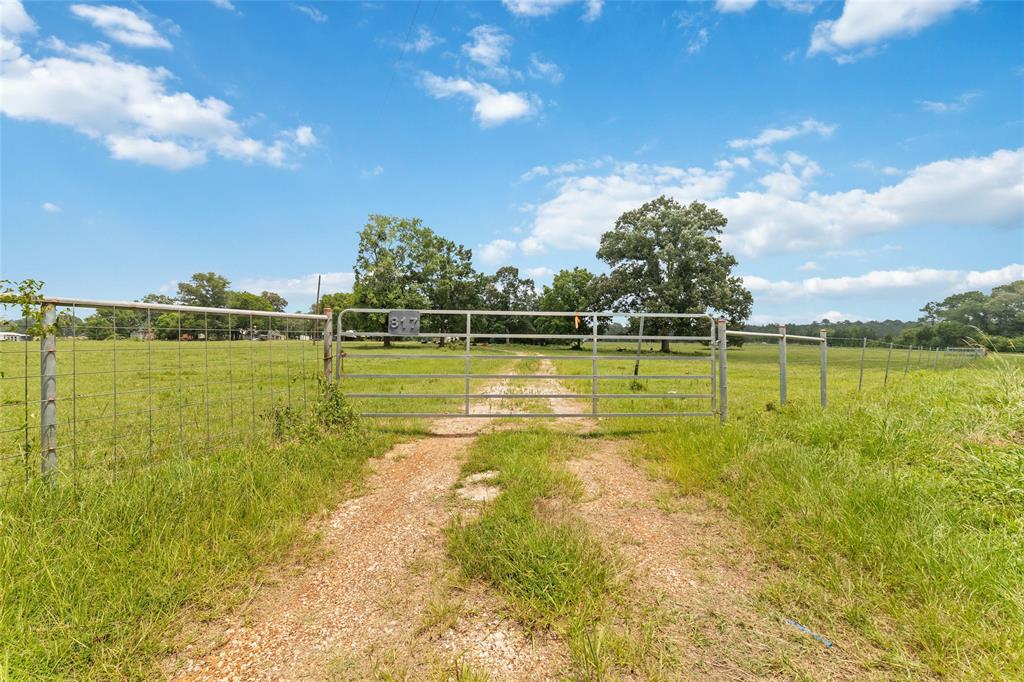 817 Jones Rd, New Waverly, TX 77358