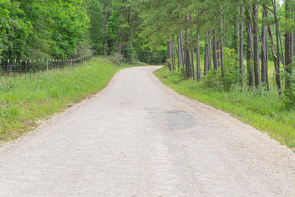 000 Moore Farm Road , Zavalla, Texas image 7