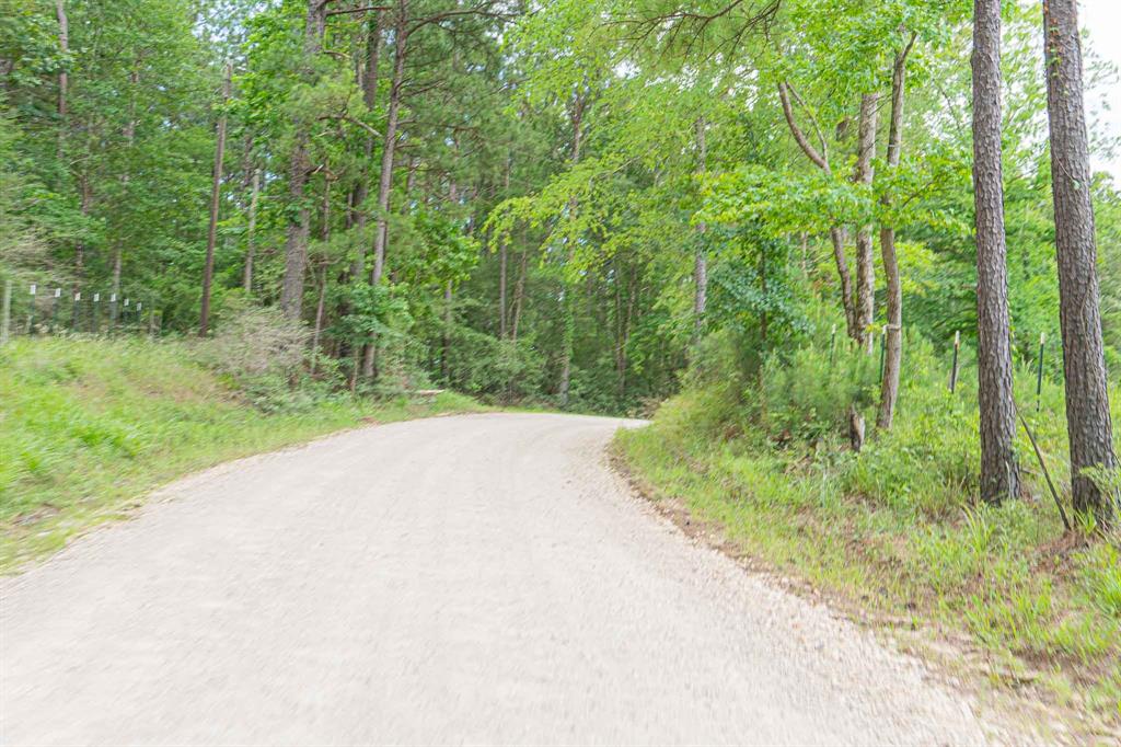 000 Moore Farm Road , Zavalla, Texas image 8