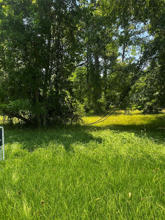 0  Old Fm 224  Coldspring Texas 77331, 64