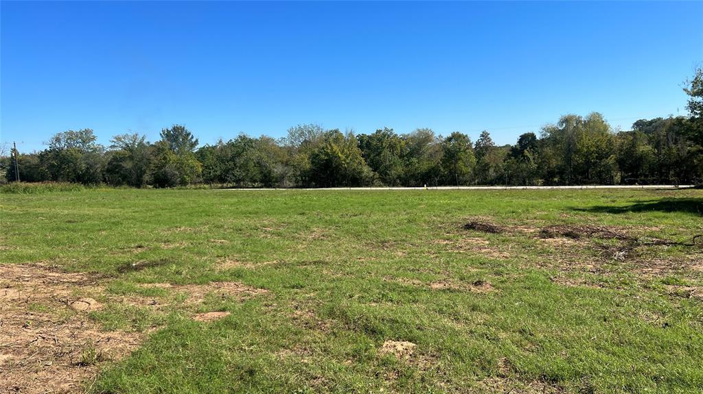 Lot 1 Cr 319  , Navasota, Texas image 4