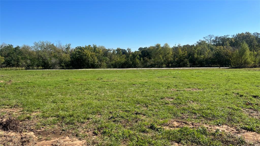 Lot 1 Cr 319  , Navasota, Texas image 6