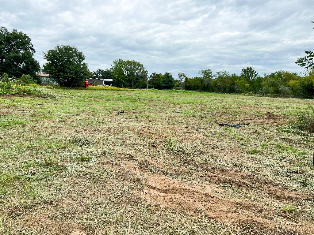 Lot 1 Cr 319  , Navasota, Texas image 8