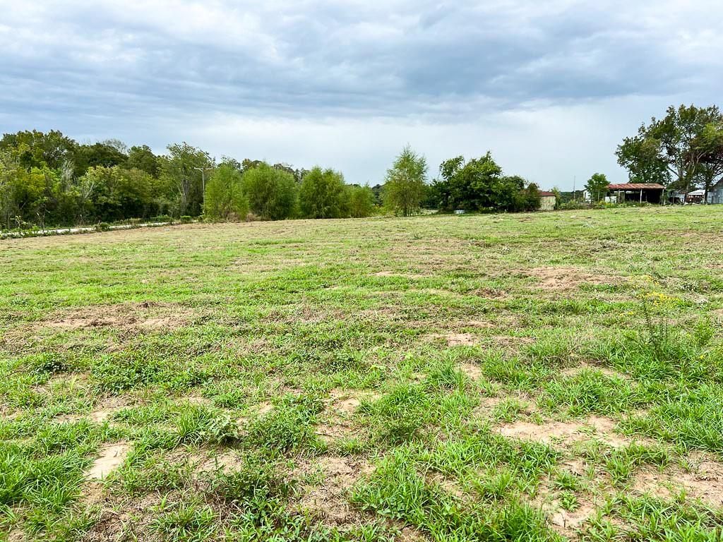 Lot 1 Cr 319  , Navasota, Texas image 9