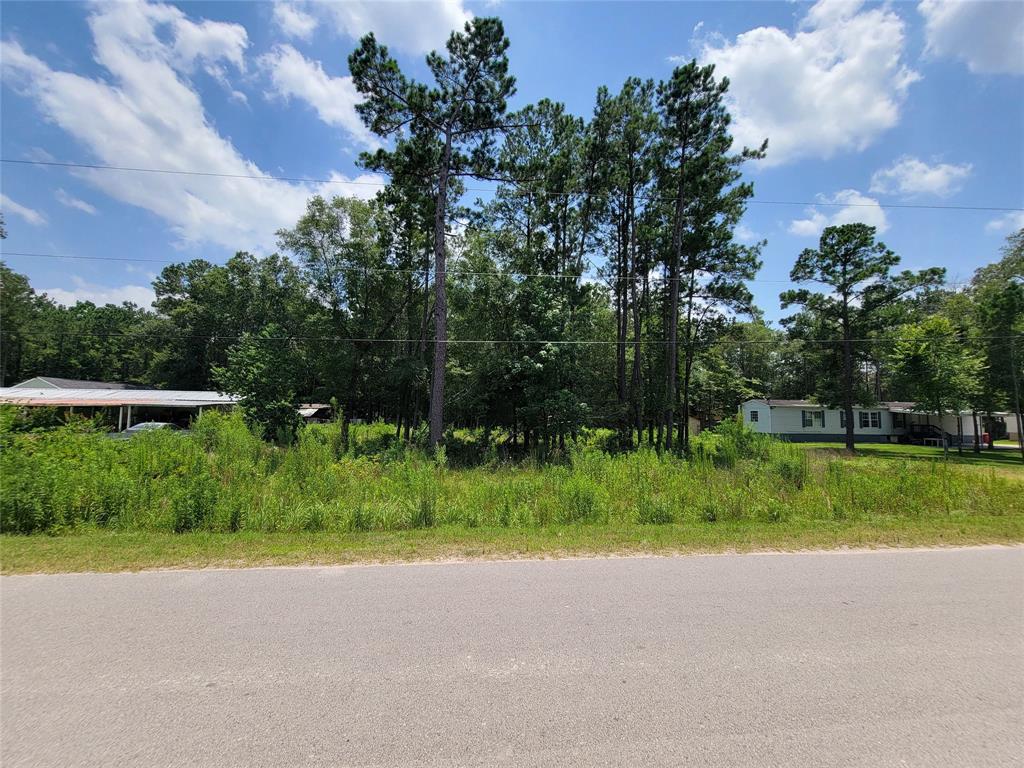 23522  Mayfly Lane New Caney Texas 77357, 40