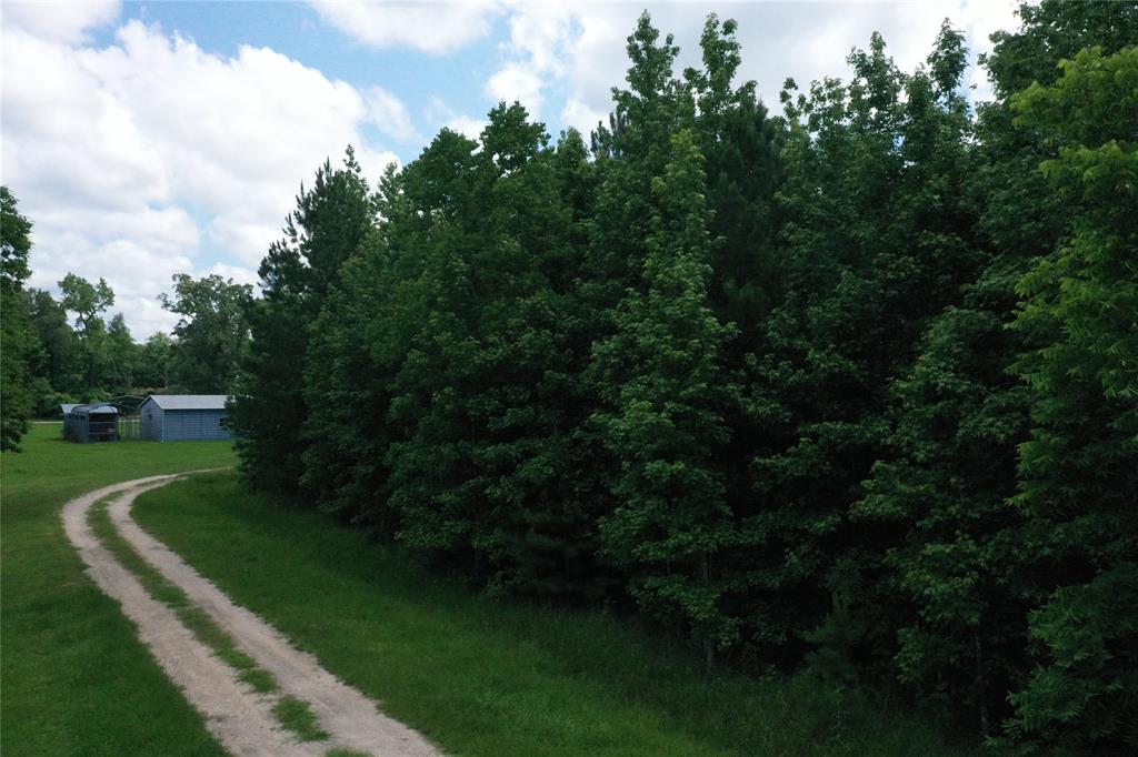 00 June, Shepherd 00 June Shepherd Texas 77371, 52