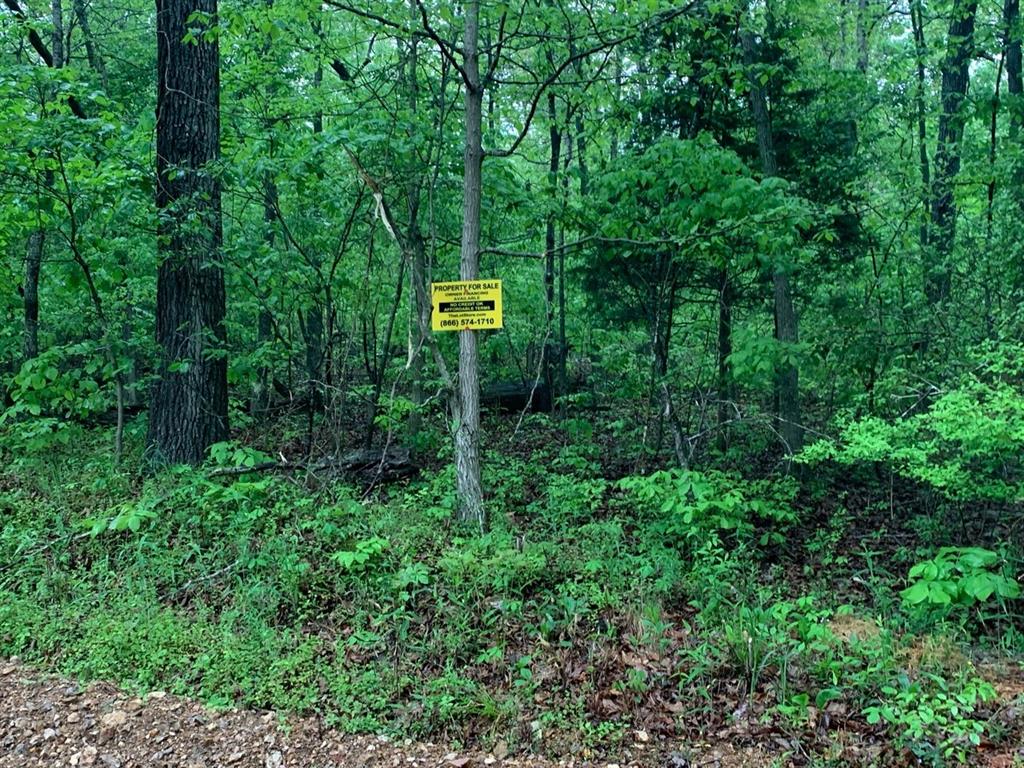 Lot 26-16  Hitching Post Drive  Other Arkansas 72482, 81