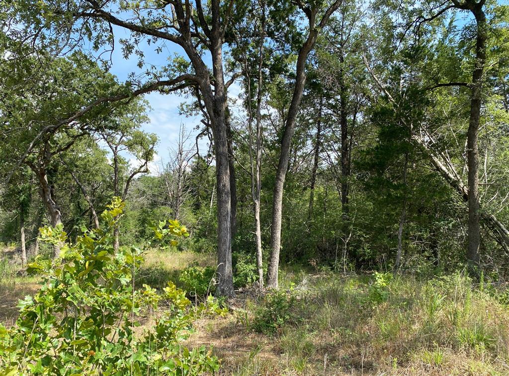 TBD High Crossing Road - Tract 9, Smithville, TX 78957