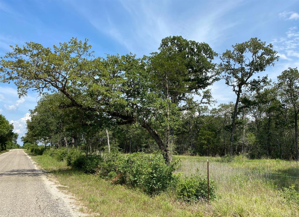 TBD High Crossing Road - Tract 9  , Smithville, Texas image 12