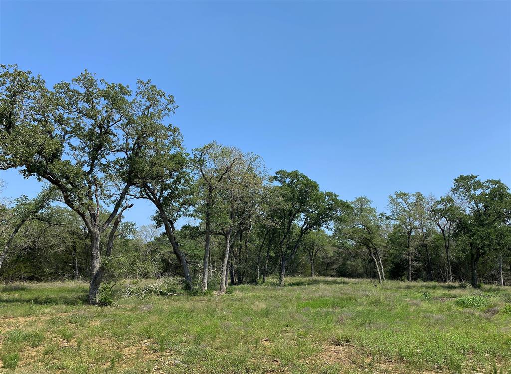 TBD High Crossing Road - Tract 9  , Smithville, Texas image 3