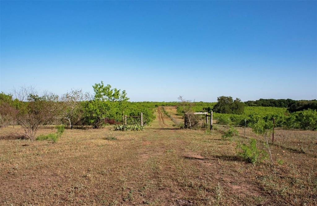 100 Acres Ranch  Munk- Less than 1 hour to Austin or San Antonio Road Kingsbury Texas 78638, 83