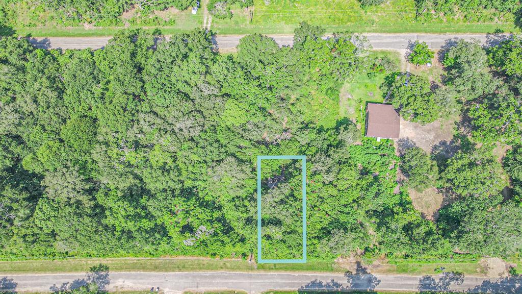 118  O Leary Lane Holiday Lakes Texas 77515, 5