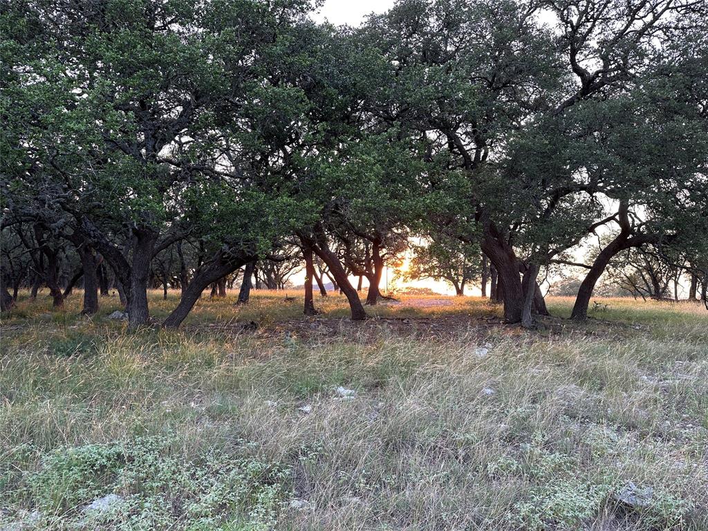 Lot 222  Blackbuck Ridge Drive Lampasas Texas 76550, 83