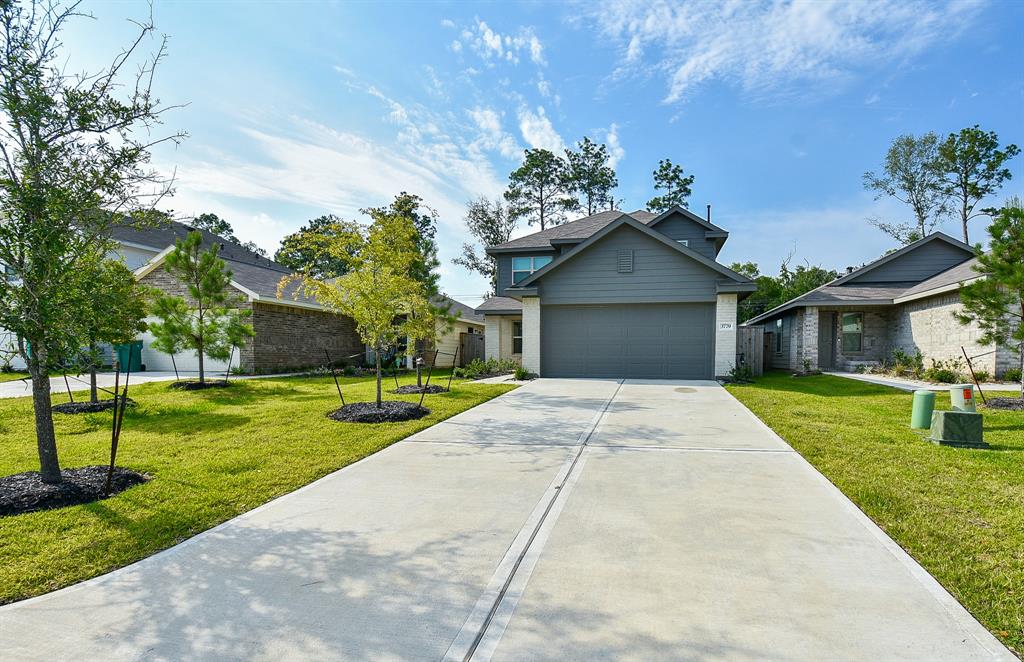3779  Solanum Drive Conroe Texas 77301, 19