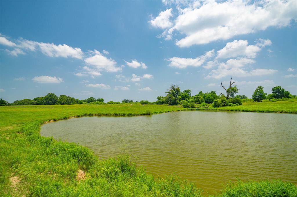 Many stocked ponds for fishing and livestock through ou th property .