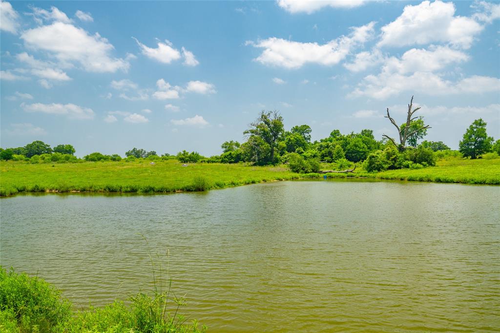 There are several ponds and a live creek and the Brazos River all part of Deer Run.