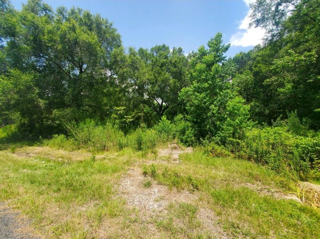 434  County Road 411  Dayton Texas 77535, 52