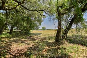 TBD Hartfield Tract 7 Rd, Round Top, TX, 78954