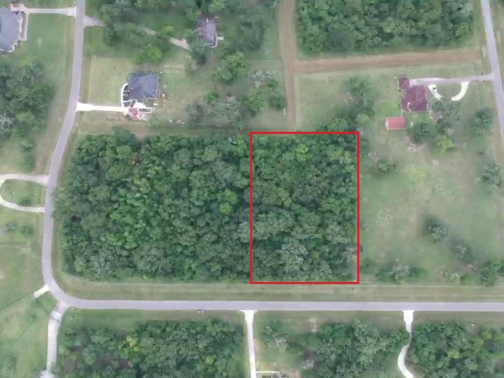 17239  Hamill Drive Rosharon Texas 77583, Rosharon