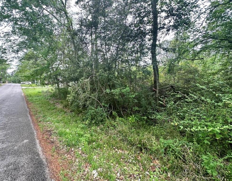 LOT 2A  Hanover Lane  Conroe Texas 77304, 39