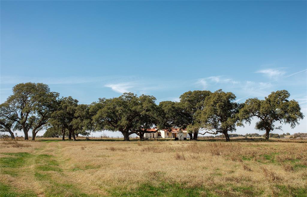 TBD Hartfield Tract 5 Rd  , Round Top, Texas image 8