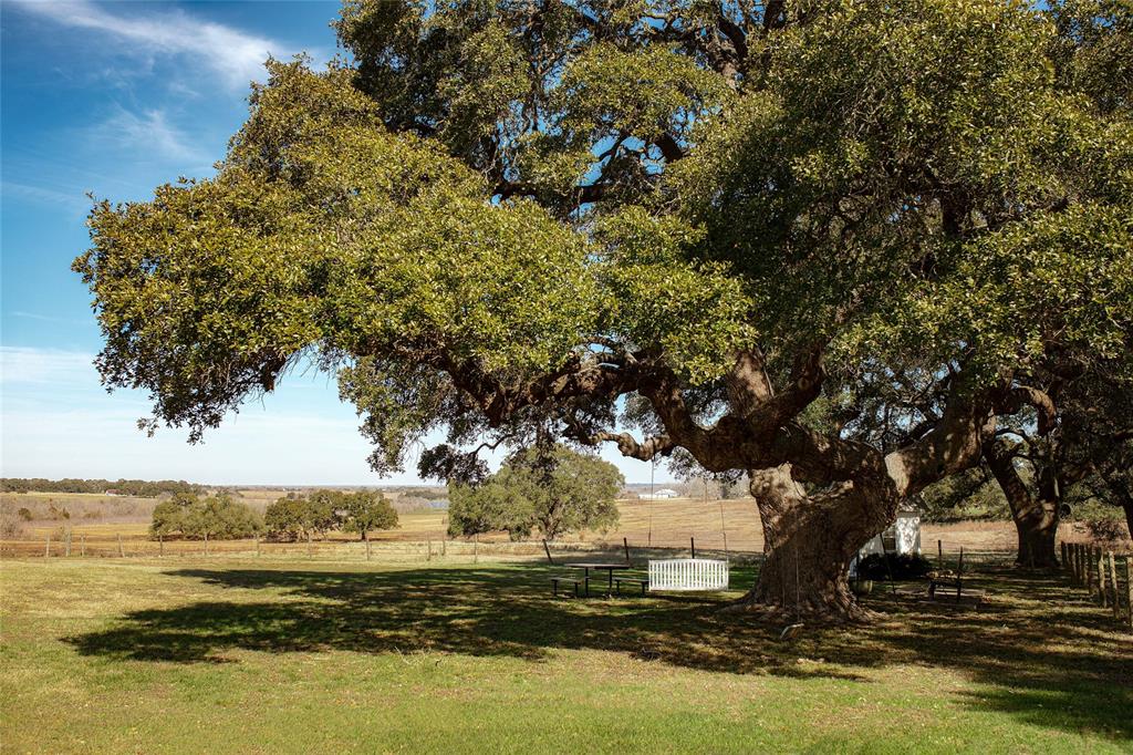 TBD Hartfield Tract 5 Rd  , Round Top, Texas image 9