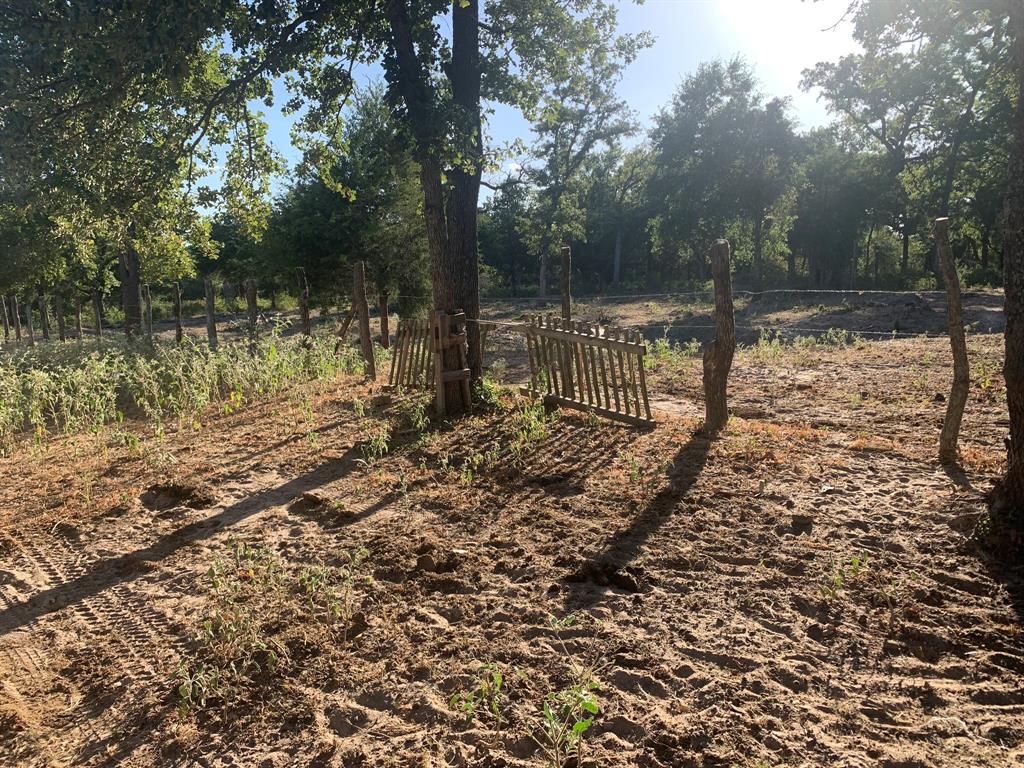 8545 Thompson Road , Calvert, Texas image 8