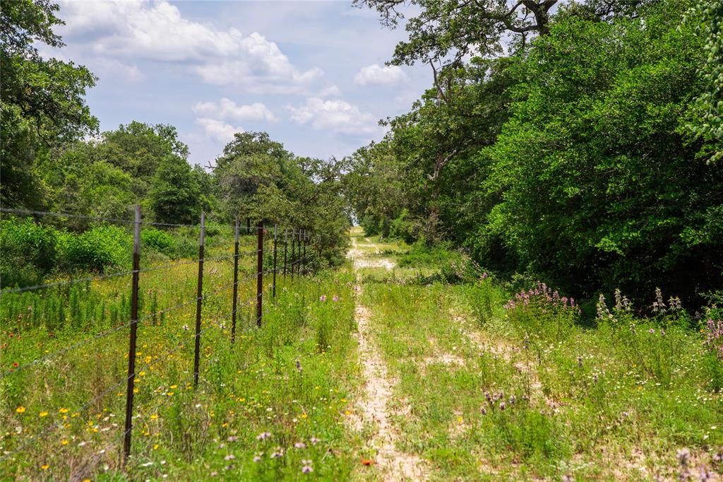 TBD County Road 308a Ranch , Caldwell, Texas image 1