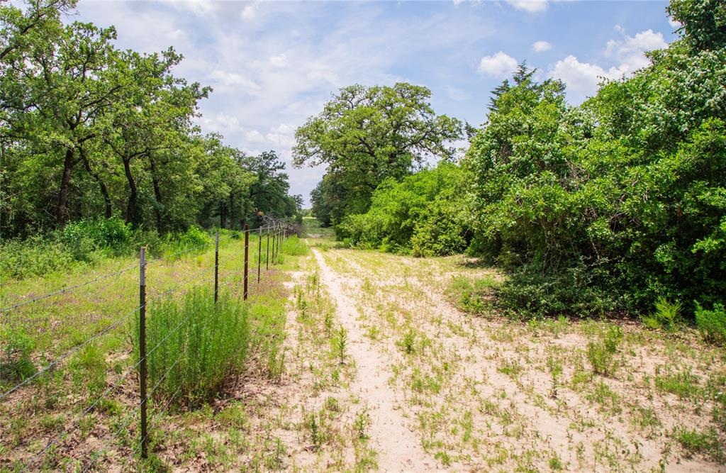 TBD County Road 308a Ranch , Caldwell, Texas image 12