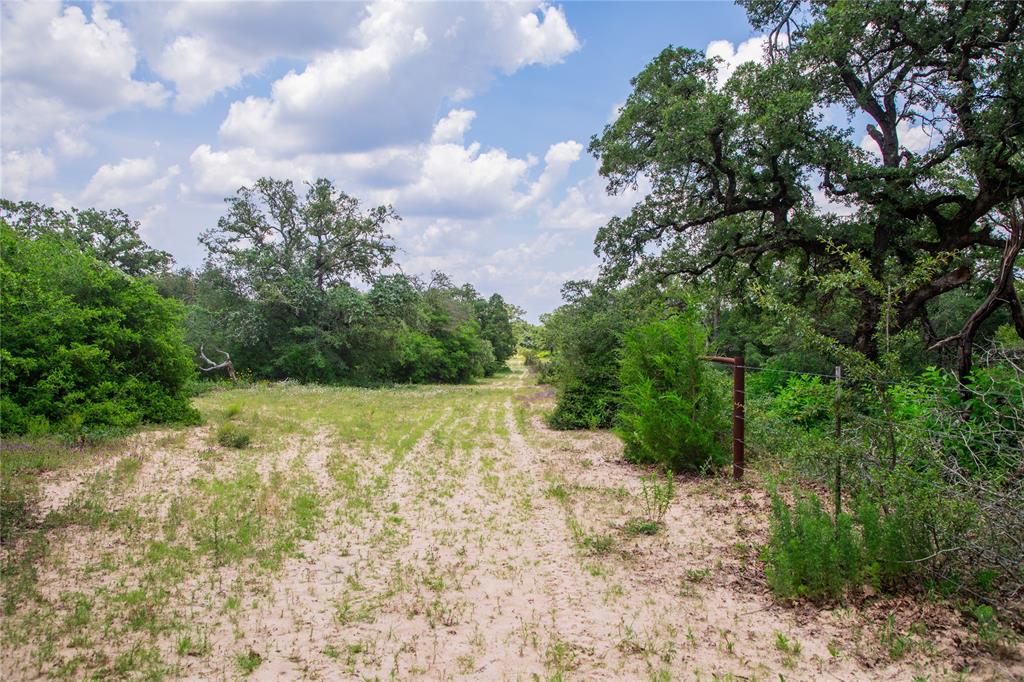 TBD County Road 308a Ranch , Caldwell, Texas image 13