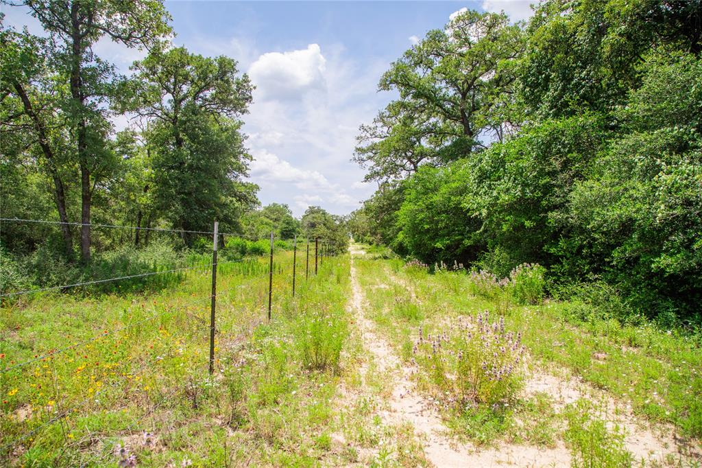TBD County Road 308a Ranch , Caldwell, Texas image 14