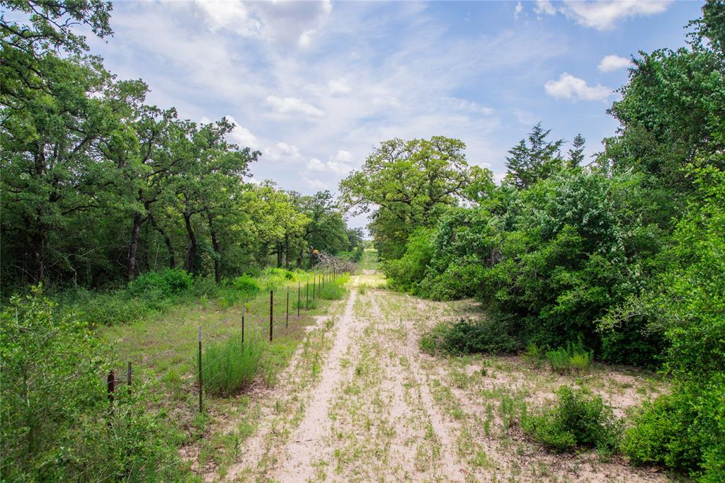 TBD County Road 308a Ranch , Caldwell, Texas image 15