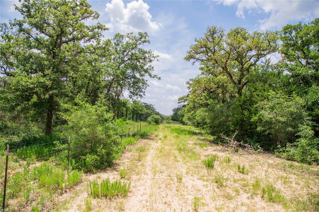 TBD County Road 308a Ranch , Caldwell, Texas image 16