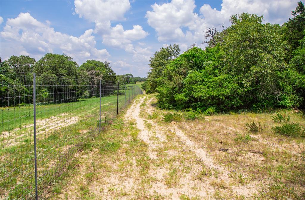 TBD County Road 308a Ranch , Caldwell, Texas image 18