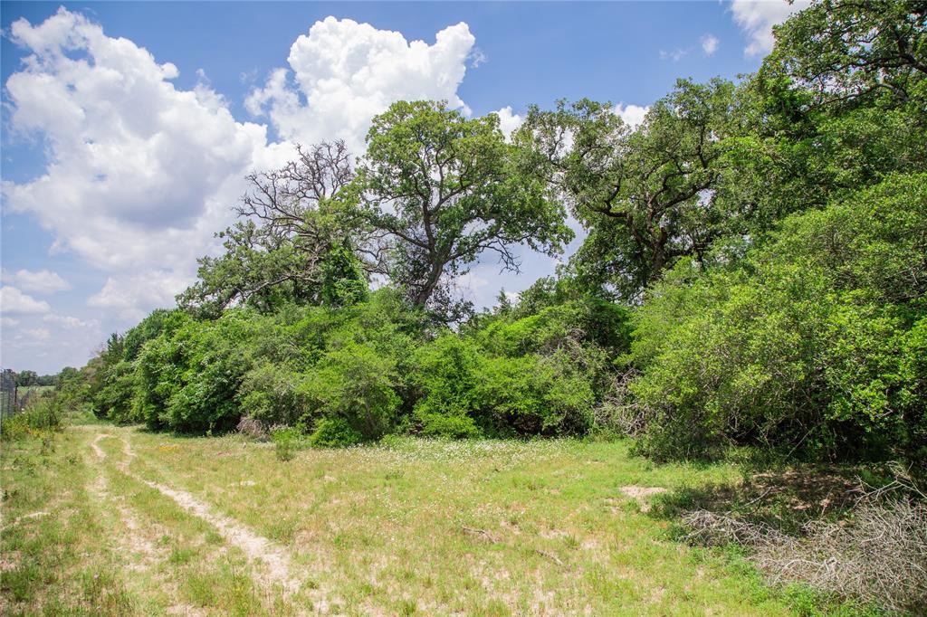 TBD County Road 308a Ranch , Caldwell, Texas image 20