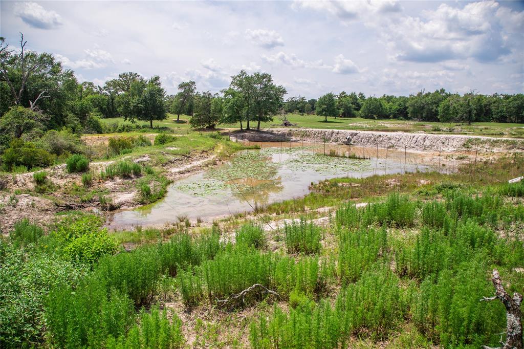 TBD County Road 308a Ranch , Caldwell, Texas image 3